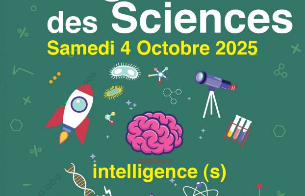 Lauréats du concours Scientifique, du concours Développement Durable 2025 et Watty 2025